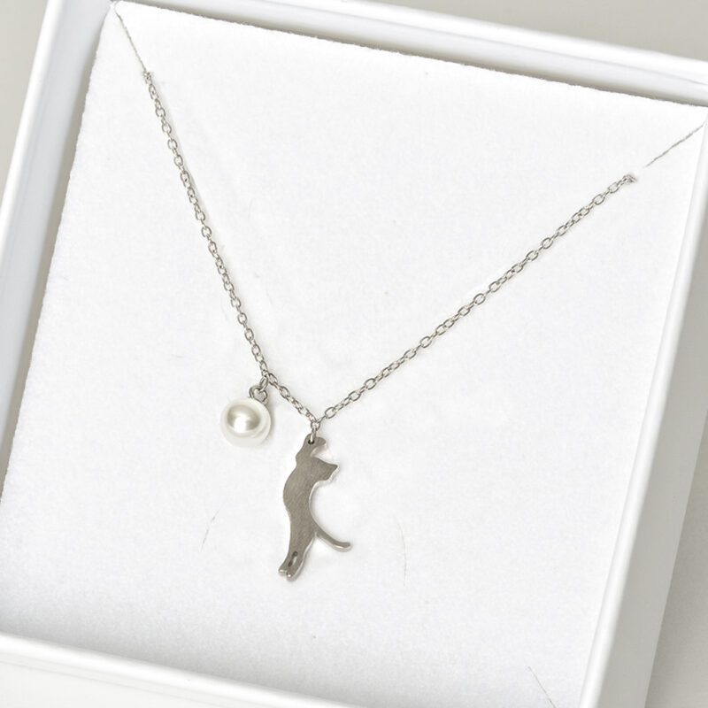 Schmucklove playing cat Schmucklove playing cat